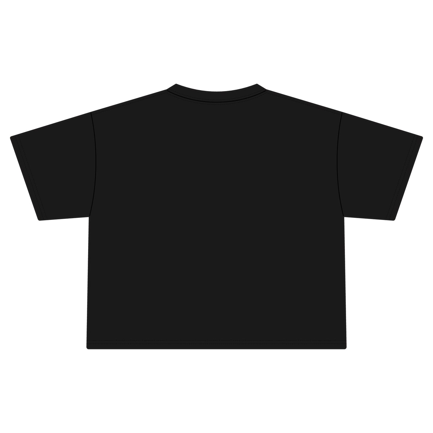 Women's Jersey Crop Tee